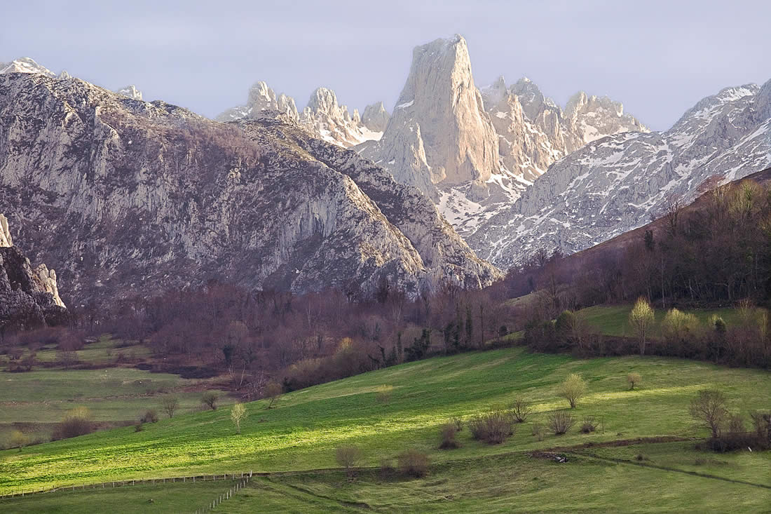 naranjo_de_bulnes